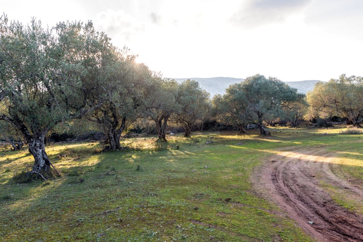 Kameni Chora Anogi Route 12 Ithaca Trails