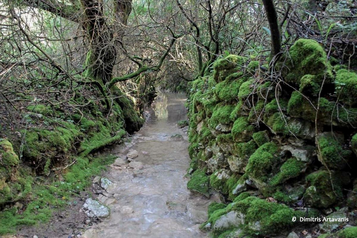 Reithron (Stream) Ithaca Trails Route 13 Frikes © Dimitris Artavanis