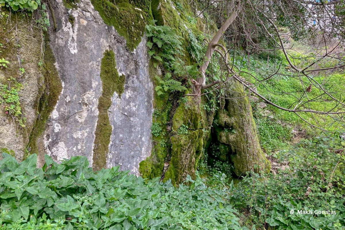 Spring of Melanythros © Makis Gonatas